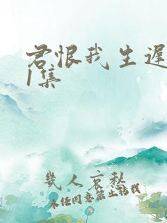 君恨我生迟最后1集