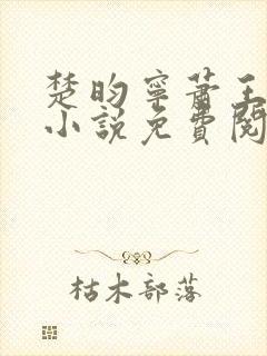 楚昀宁萧王穿越小说免费阅读无弹窗