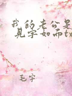 我的老公是冥王 见字如面txt