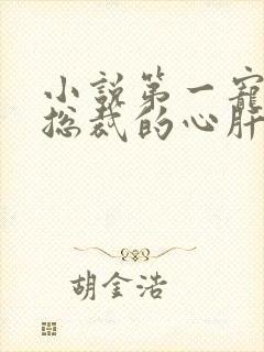 小说第一宠婚:总裁的心肝宝儿