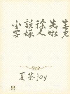 小说徐先生,我要嫁人啦免费阅读