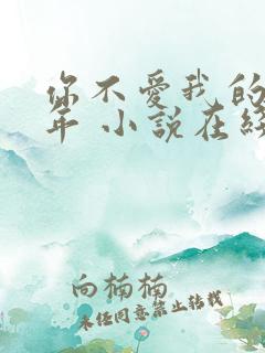 你不爱我的那些年 小说在线阅读