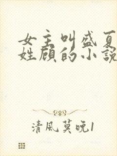 女主叫盛夏男主姓顾的小说