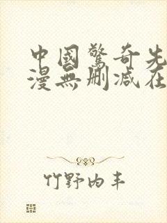 中国惊奇先生动漫无删减在线观看