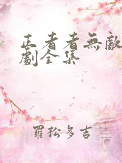 正者者无敌电视剧全集