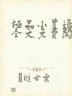 极品小农场小说全文免费阅读