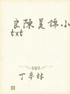 良陈美锦小说.txt