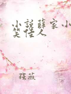 小说薛家小媳妇笑佳人