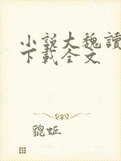 小说大魏读书人下载全文
