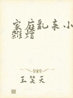 家庭乱来小说大杂烩