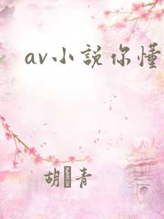 av小说你懂的