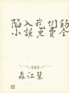 陷入我们的热恋小说免费全文阅读