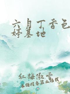 六月丁香色婷婷婷基地