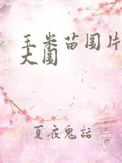 玉米苗图片大全大图