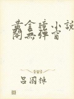 黄金瞳小说笔趣阁无弹窗