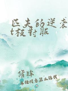 匹夫的逆袭txt校对版