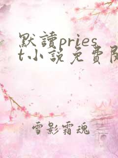 默读priest小说免费阅读全文无窗口