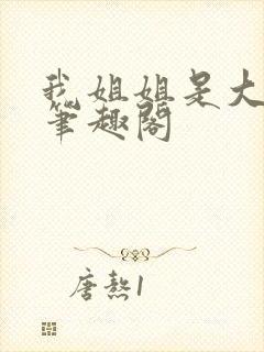我姐姐是大明星笔趣阁