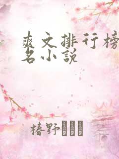 爽文排行榜前十名小说