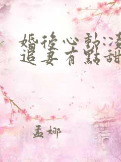 婚后心动:凌总追妻有点甜小说无弹窗