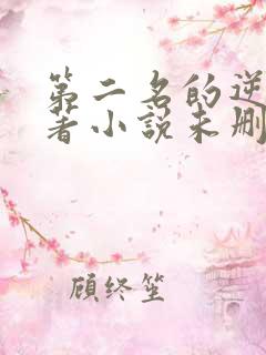 第二名的逆袭原著小说未删减