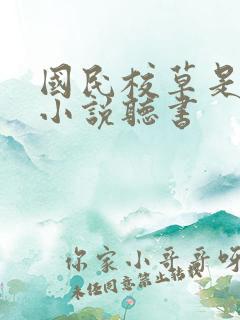 国民校草是女生小说听书