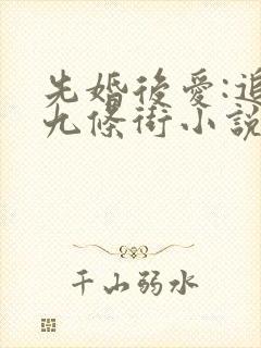 先婚后爱:追妻九条街小说免费阅读全集