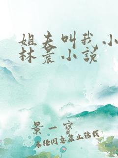 姐夫叫我小撩精林晨小说