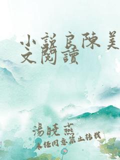 小说良陈美锦全文阅读