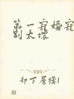 第一宠婚宠总裁别太坏