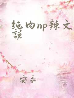 纯肉np辣文小说