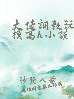 大佬调教玩弄嫩模高h小说