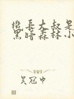 机长大叔是饿狼黑暗森林小说笔