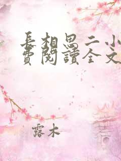 长相思二小说免费阅读全文完结版