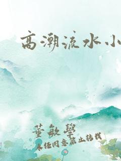 高潮流水小说h