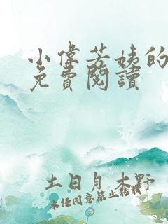 小伟芳姨的小说免费阅读