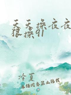 天天操夜夜操狠狠操91
