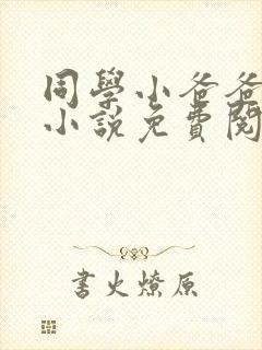 同学小爸爸李凯小说免费阅读