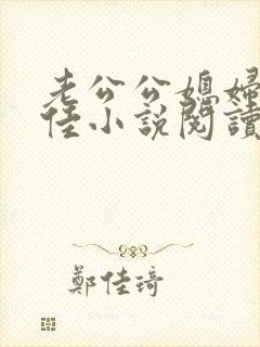 老公公媳妇与柔佳小说阅读免费