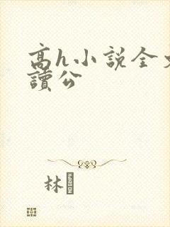 高h小说全文阅读公