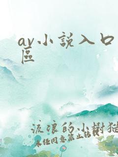 av小说入口一区