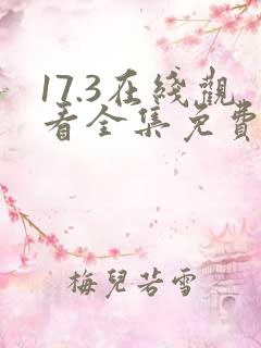 17.3在线观看全集免费完整国语版高清