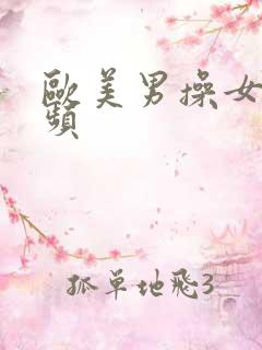 欧美男操女逼视频