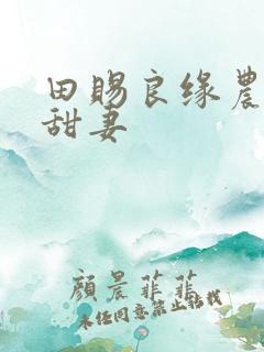 田赐良缘农门小甜妻