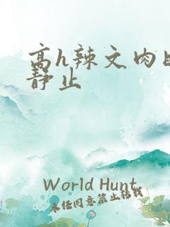 高h辣文肉时间静止