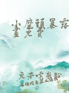 小魔头暴露啦动画免费