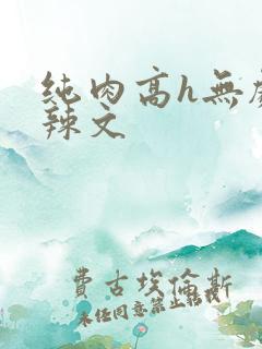 纯肉高h无剧情辣文
