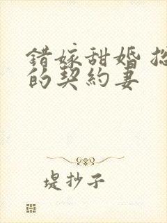 错嫁甜婚 总裁的契约妻