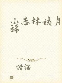 小志林姨月明星稀