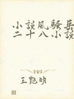 小说风骚岳母第二十八小说